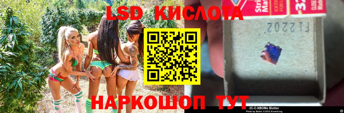 Шелехов  Марки NBOMe  Вход с VPN  Марки N-bome 1500мкг  Марки N-bome 1500мкг 