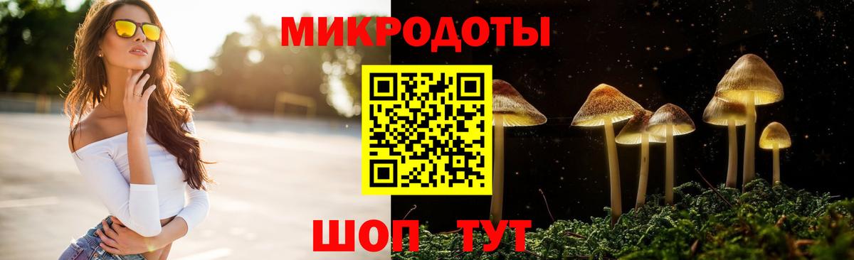 Псилоцибиновые грибы Psilocybine cubensis  Вход с VPN  Шелехов 